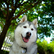Illustration for article titled 39 *Scratchy Scratchy* Photos of Dogs